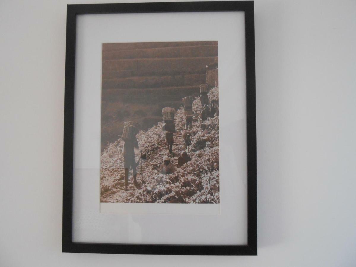 Sinos Rio Tinto Hotel Campainha ภายนอก รูปภาพ